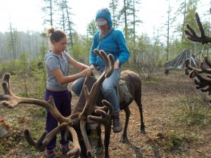 Sibirien Ewenken Rentiere by Birgit Strauch Shiatsu Bewusstseinscouching Massage