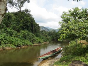 Fluss Borneo Mulu Nationalpark by Birgit Strauch Shiatsu Massagen und Bewusstseinscoaching
