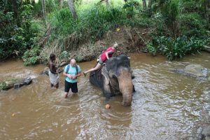 Kandy Elefanten Ritt Baden Sri Lanka by Birgit Strauch Shiatsu & ThetaHealing