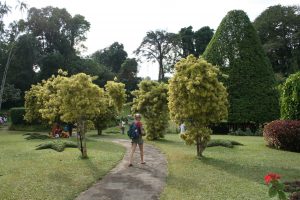 Kandy Botanischer Garten by Birgit Strauch Shiatsu & ThetaHealing