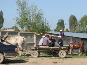 Karakol größte Viehmarkt Zentralasiens by Birgit Strauch Shiatsu & ThetaHealing
