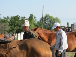 Pferde Kühe Karakol größte Viehmarkt Zentralasiens by Birgit Strauch Shiatsu & ThetaHealing