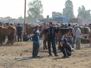 Pferde Kühe Karakol größte Viehmarkt Zentralasiens by Birgit Strauch Shiatsu & ThetaHealing