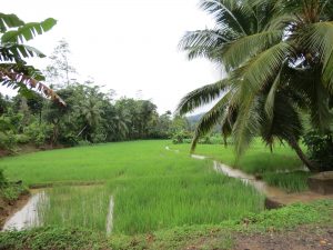 Mirissa Schlangenfarm Sri Lanka by Birgit Strauch Shiatsu & ThetaHealing