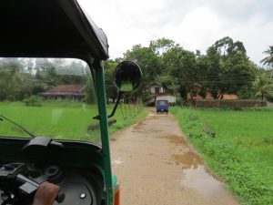 Mirissa Schlangenfarm Sri Lanka by Birgit Strauch Shiatsu & ThetaHealing