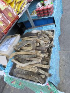 Nong Khai Tha Sadet Market Mekong Thailand Reisebericht by Birgit Strauch Bewusstseinscoaching