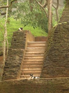 Sigiriya Fels Sri Lanka by Birgit Strauch Shiatsu & ThetaHealing