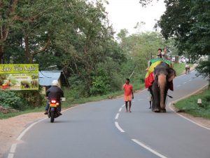 Sigiriya village Sri Lanka Radtour Lagerfeuer