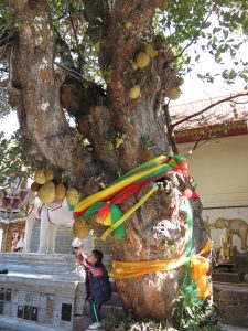 Wat Phratap Doi Suthep by Birgit Strauch Thaimassage & Bewusstseinscoaching