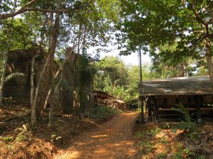 Primitive Village Koh Mak Thailand by Birgit Strauch Shiatsu & Bewusstseinscoaching