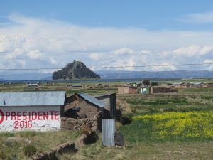 Puno Titicaca See Flamingos by Birgit Strauch Shiatsu & Bewusstseinscoaching