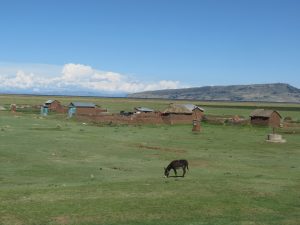 Puno Titicaca See Flamingos by Birgit Strauch Shiatsu & Bewusstseinscoaching