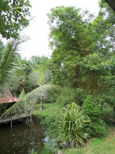 Treetops Lodge Miri Sarawak by Birgit strauch Shiatsu & ThetaHealing