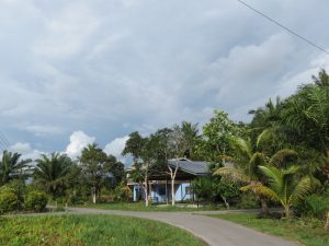 Umgebung Treetops Lodge Miri Sarawak by Birgit strauch Shiatsu & ThetaHealing