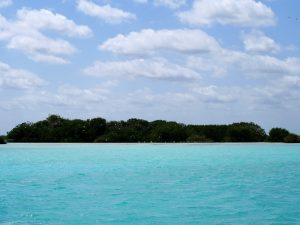 Vogelinsel Isla de Pajeros Bootstour Cenote Bacalar Lagune Mexiko by Birgit Strauch Shiatsu & Bewusstseinscoaching