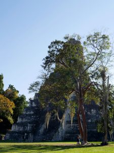 Tikal Ruinen Maya Tempel Guatemala by Birgit Strauch Shiatsu & Bewusstseinscoaching