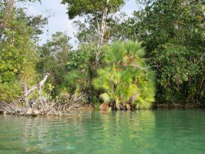 Laguna Lachua Guatemala by Birgit Strauch Shiatsu & Bewusstseinscoaching