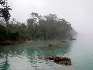 Fische Morgenstimmung Laguna Lachua Guatemala by Birgit Strauch Shiatsu & Bewusstseinscoaching