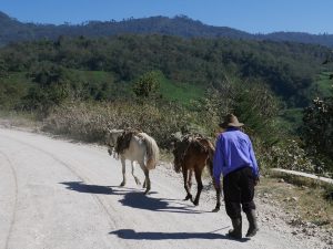Von Barillas nach San Rafael Guatemala by Birgit Strauch Shiatsu & Bewusstseinscoaching