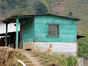 Casa Familiar in Todos Santos Cuchamatan Guatemala by Birgit Strauch Shiatsu & Bewusstseinscoaching