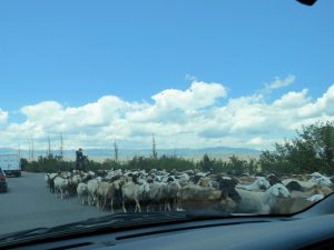 Fahrt nach Bishkek by Birgit Strauch Shiatsu & Bewusstseinscoaching