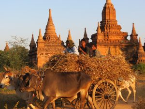 Radtour Bagan by Birgit Strauch Shiatsu & Bewusstseinscoaching