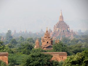 Ochsen Bagan by Birgit Strauch Bewusstwandlerin Bewusstseinscoaching