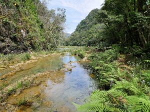 Quelle Wasserfall Semuc Champey Guatemala by Birgit Strauch Bewusstseinscoaching & Shiatsu