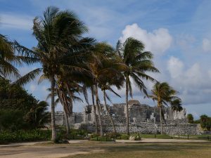 Tulum Ruinen Waran Mexiko by Birgit Strauch Bewusstseinsscoaching und Shiatsu