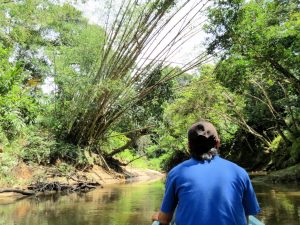 Kelabit Highlands Pa Umor Boot Pa Lungan Borneo by Birgit Strauch Shiatsu & Bewusstseinscoaching