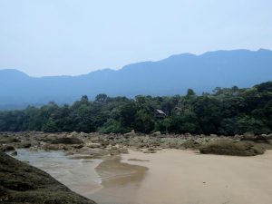 Baumhaus Permai Rainforest Resort Borneo by Birgit Strauch Shiatsu & Bewusstseinscoaching