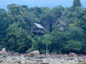 Baumhaus Permai Rainforest Resort Borneo by Birgit Strauch Shiatsu & Bewusstseinscoaching