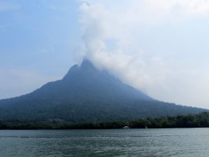 Qualle Bootstour Santubong Nationalpark Borneo by Birgit Strauch Shiatsu & Bewusstseinscoaching