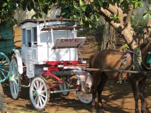 Pferde Kutschen Pyin Oa Lwin Myanmar by Birgit Strauch Lifecoach Bewusstseinscoaching