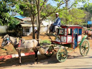 Pferde Kutschen Pyin Oa Lwin Myanmar by Birgit Strauch Lifecoach Bewusstseinscoaching