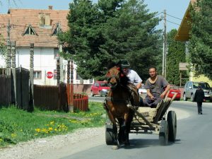 Fahrt nach Magura Pferdekutschen Rumänien by Birgit Strauch Shiatsu & Bewusstseinscoaching