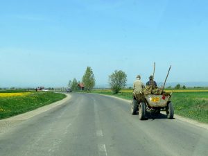 Fahrt nach Magura Pferdekutschen Rumänien by Birgit Strauch Shiatsu & Bewusstseinscoaching
