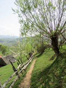 Wandern Magura Villa Hermani Rumänien by Birgit Strauch Shiatsu & Bewusstseinscoaching
