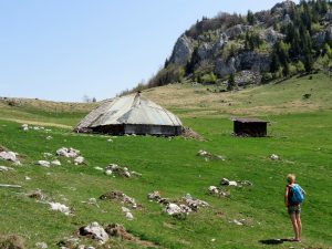 Wandern von Magura Villa Hermani nach Bran Rumänien by Birgit Strauch Shiatsu & Bewusstseinscoaching