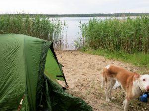 Schlaubetal Helenesee Wandern mit Hund Zelten by Birgit Strauch Bewusstseinscoaching & Shiatsu