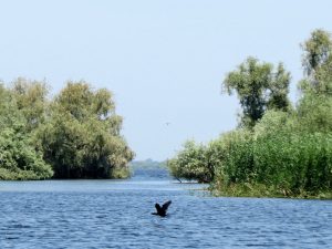 Von Murighiol nach Crisan Donaudelta Rumänien by Birgit Strauch Shiatsu & ThetaHealing