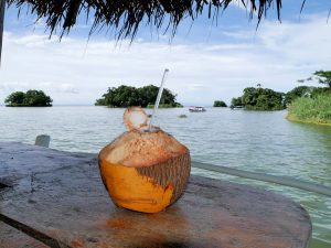 Nicaragaua Kokosnuss Paradies Las Isletas by Birgit Strauch Shiatsu & Bewusstseinscoaching