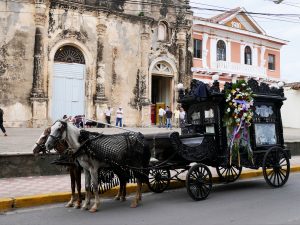Pferde Granada Nicaragua by birgit Strauch Shiatsu & Bewusstseinscoaching