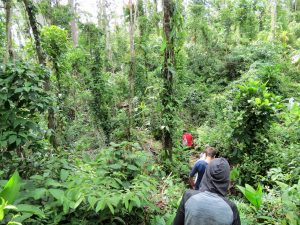 Wanderung Indio Maiz Nationalpark by Birgit Strauch Bewusstseinscoaching & Shiatsu