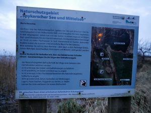 Rügen Spyker Bucht mit dem Minicamper by Birgit Strauch Bewusstseinscoaching & Shiatsu