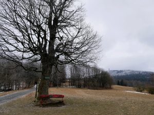 Mit dem Minicamper ins Zittauer Gebirge bei Krompach by Birgit Strauch Bewusstseinscoaching & Shiatsu