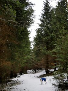 Mit dem Minicamper ins Lausitzer Gebirge bei Horni Svetla by Birgit Strauch Bewusstseinscoaching & Shiatsu
