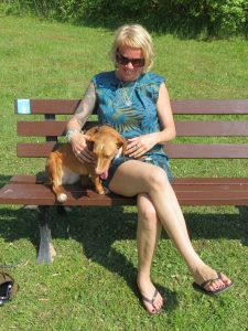 Minicamper Tour zum Hundebadestarnd in Plau am See by Birgit Strauch Shiatsu & spirituelles Coaching