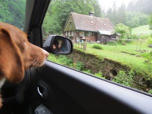 Minicamper Tour ins Adlergebirge bei Zdobnice by Birgit Strauch Bewusstseinscoaching & Shiatsu