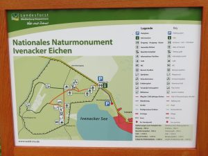 Ivenacker Eichen by Birgit Strauch